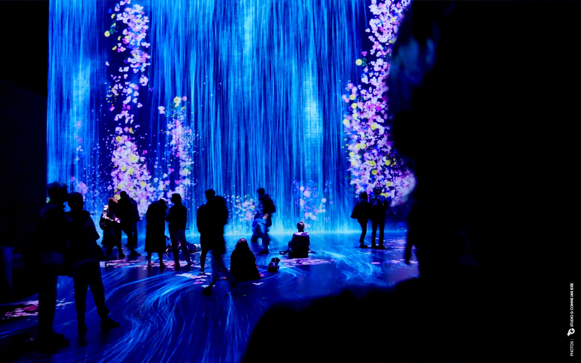 Visite de l'expo teamLab par l'agence print et numérique