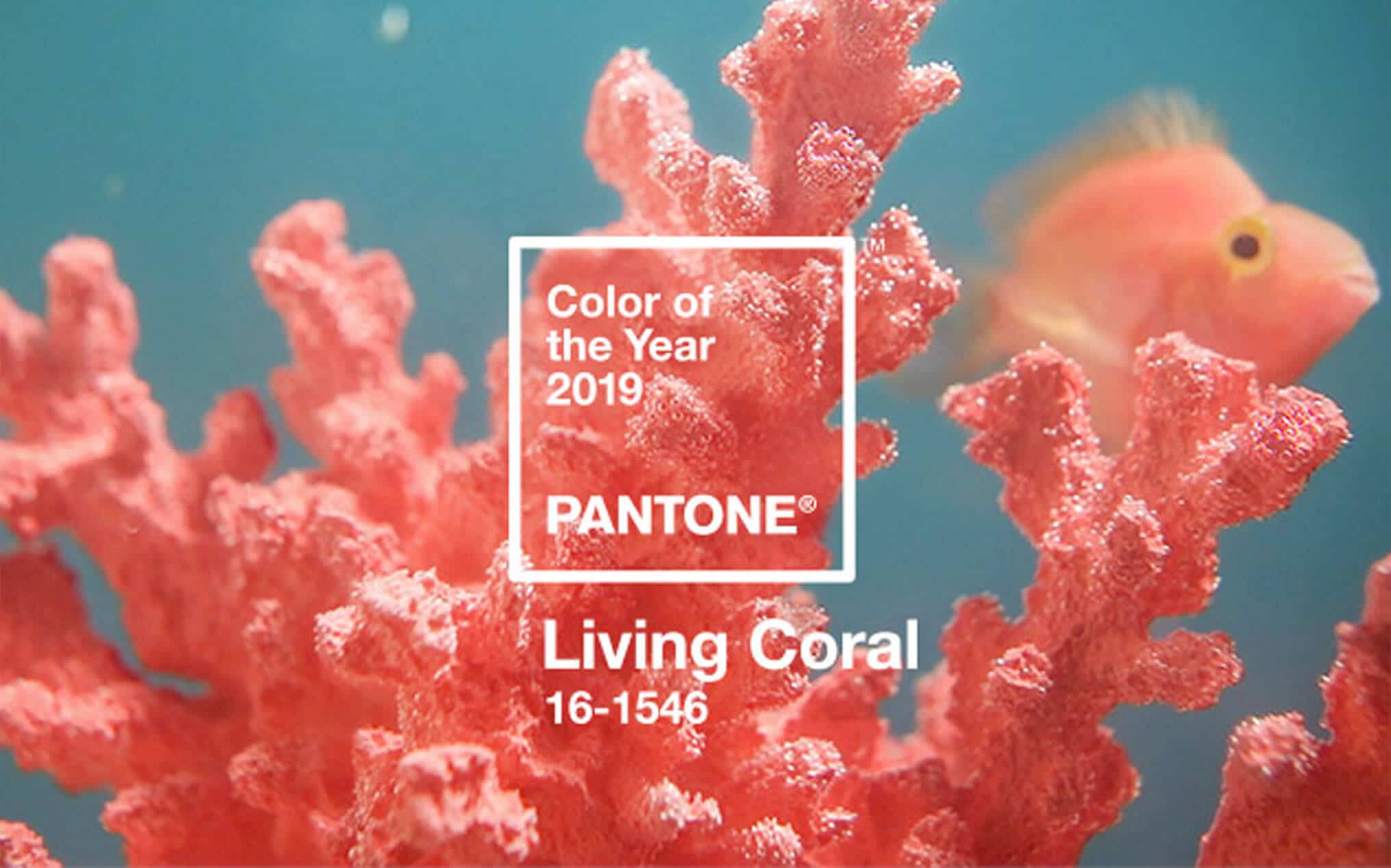 Agence de communication Tours - La couleur PANTONE 2019