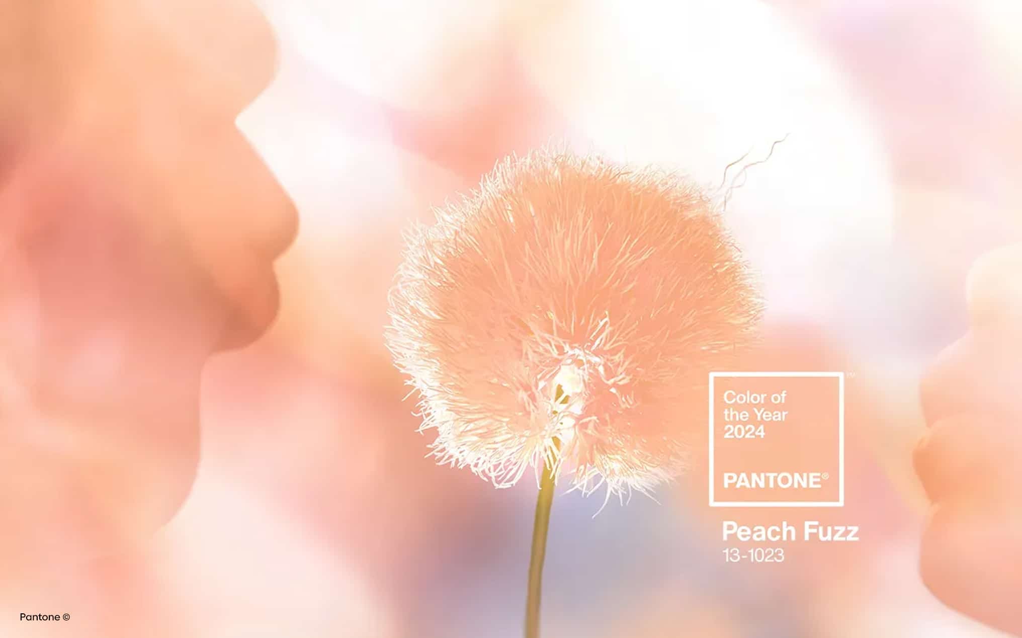 Agence de communication - pantone color 2024